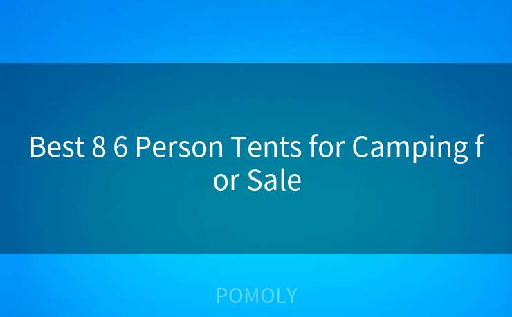 Best 8 6 Person Tents for Camping for Sale
