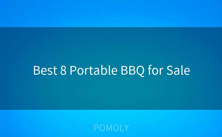 Best 8 Portable BBQ for Sale